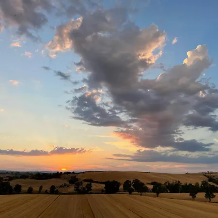 아파트 Con Piscina Immerso Nel Delle Crete Senesi