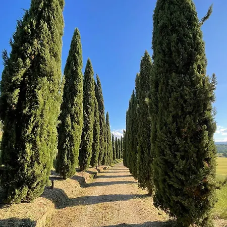 Con Piscina Immerso Nel Delle Crete Senesi *