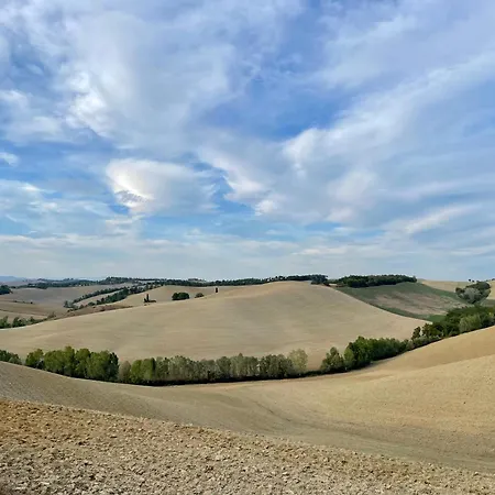 아파트 Con Piscina Immerso Nel Delle Crete Senesi 아시아노