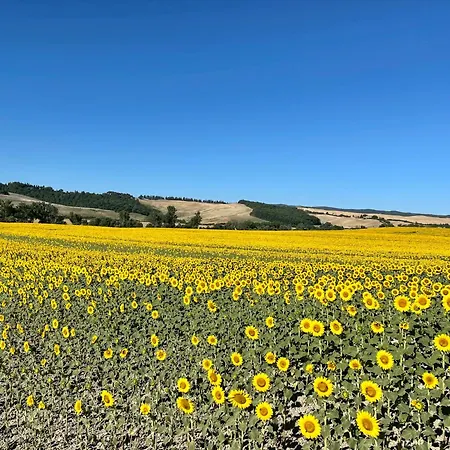 Con Piscina Immerso Nel Delle Crete Senesi Asciano