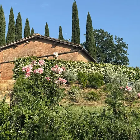 Con Piscina Immerso Nel Delle Crete Senesi * Asciano